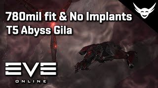 EVE Online - 780mil T5 Hybrid Gila strong ship!