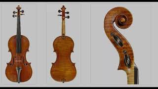 Fine Luthiers: Pietro Guarneri of Mantua