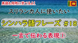 シンハラ語フレーズ  #18 「一言で伝わる表現①」【英語とシンハラ文字も同時に学べる】