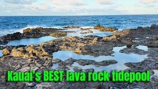 Kauai’s HIDDEN Lava Rock Tide Pool | Mokolea Pools Adventure
