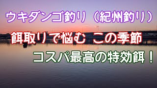 ウキダンゴ釣り（紀州釣り) 餌取りで悩む この季節　本場 紀州の特効餌！＃紀州釣り　#だんご釣り  #チヌ釣り #磯釣り #釣り#三重県 ＃ウキダンゴ釣り