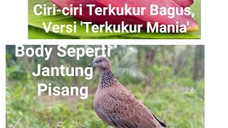 Get Rahsia Burung Merbuk Pictures
