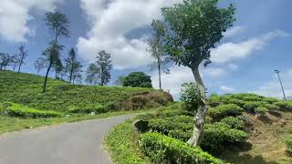 beauty of sri lanka 😊 lovly location One Tree Hill matale♥️