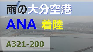 逆噴射・フラップ、スポイラー全開！／雨の大分空港着陸(Landing at Oita Airport)／ANA793東京羽田空港→大分空港