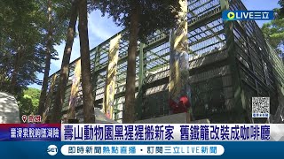 黑猩猩視角! 壽山動物園黑猩猩搬新家 維持籠子玻璃屋外觀 內裝變身文青咖啡廳 成動物園新亮點│記者 翁郁雯 涂永全│【消費報你知】20230702│三立新聞台