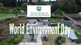 World Environment Day at Adelaide Botanic Garden