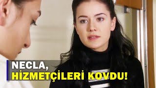 Necla, Hizmetçileri Kovdu! - Yaprak Dökümü 130.Bölüm