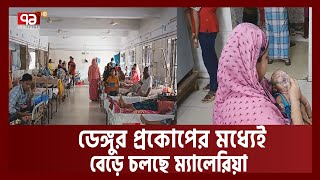 দেশের ২৯ ভাগ ম্যালেরিয়া রোগীই রাঙ্গামাটির | Malaria | Ekattor TV