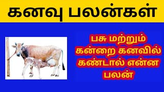 பசு மற்றும் கன்றை கனவில் கண்டால் என்ன பலன் l What is the benefit of  cow and a calf in a dream