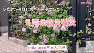 5月の植え替え　シニアからはじめたガーデニング