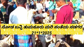 ನಮ್ಮ ಜಿಲ್ಲೆಯ ಹೆಮ್ಮೆಯ ಮರಿ ಸಂತೆ ತುಮಕೂರು 21*1*2025 @ agrianimals