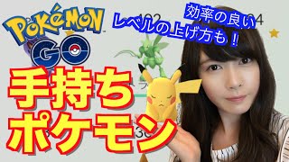 【ポケモンGO】ポッポを使ってレベル上げ！手持ちポケモンも紹介♪ PokemonGO【もえりんちゃんねる！】