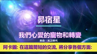 通靈信息【昴宿星】我們心愛的寵物和轉變；「昴宿星人說：在這篇簡短的交流中，將分享各個方面。這是您所有問題的答案！」