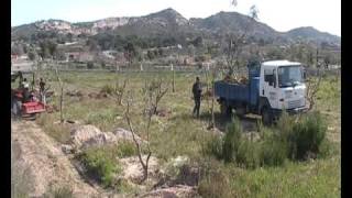 Siromer 204S Planting Olive Trees is Spain