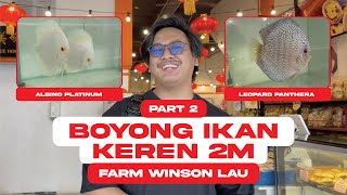 TRIP TO JOHOR BAHRU PART 2! BORONG IKAN DISCUS HIGH QUALITY