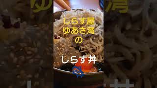 湯浅でしらす丼！#shorts