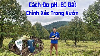 CÁCH ĐO pH VÀ ĐỘ DẪN ĐIỆN TRONG ĐẤT CHO VƯỜN CÂY CHÍNH XÁC !