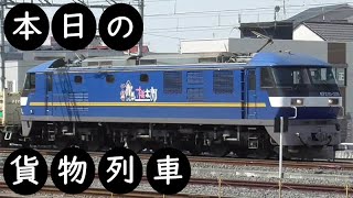 【本日の貨物列車】No.290　2021,5,3　第1072番列車　Today‘s freight train　キャラ桃！