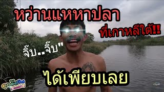 หว่านแห หาปลาที่เกาหลีใต้ ดูให้ดีๆนะ จะลงแบบนี้ไม่ได้ทุกที่