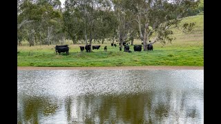 'Smoky Hollow', 30 Lucas Road, Upper Yarraman, QLD