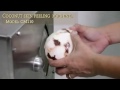 เครื่องปอกผิวมะพร้าว coconut skin peeling machine cm 110