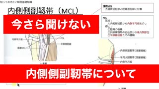 【今さら聞けない膝関節③】内側側副靱帯について【スキマ時間で学ぶオーディオブック】