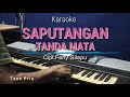 SAPUTANGAN TANDA MATA Cipt.Ferly Stp | Karaoke Tone Pria