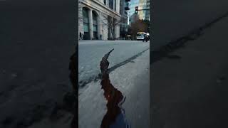 He Missed The Bus And It Changed Everything
