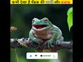 इन दो मेंढकों 🐸 ने पूरा गांव बाढ़ में डुबा दिया 😂। frog wedding। arvind arora। a2motivation। shorts