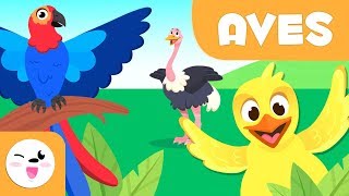 Aves para crianças - Animais vertebrados - Ciências para crianças