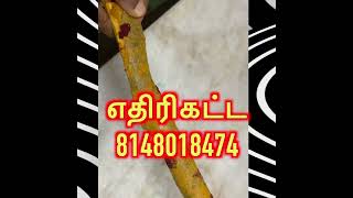 எதிரிகளே இல்லாத வாழ்க்கை வாழ அதிசய மூலிகை கட்டை