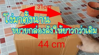 DIYเพิ่มขนาดความยาวกล่องลัง​ สอนตัดลัง