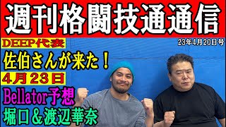 4月20日週刊格闘技通通信○佐伯繁がやって来る！格闘技界のいろいろ聞いてみよう！○堀口、渡辺華奈、菊入日本人3人出場！ベラトール