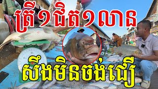 ត្រី១ជិត១លាន បានមួយនេះគ្រប់ទឹកហើយ អ្នករកត្រេកអរណាស់