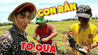 Quá Vui Nhiều Người Giành Nhau Theo Máy Cắt Bắt Chuột Rắn Và Cá | Xóm Nhỏ TV