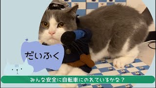 【中央警察署】にゃんこが教える自転車交通安全教室①「二人乗り」