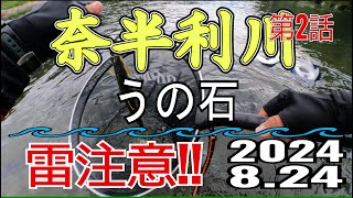 アユの友釣り 奈半利川(高知県) うの石 2024.8.24 第2話