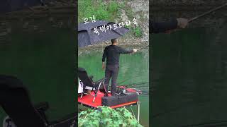 이스케이프 교감 '블랙카모파라솔' 필드TEST #교감 #fishing #한국낚시방송 #파라솔 #대물낚시 #붕어낚시 #shorts #쇼츠 #carpfishing