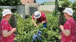 ПіДДОБРИЛА РЕВіЗОРА ЖИМОЛОСТЮ 😉