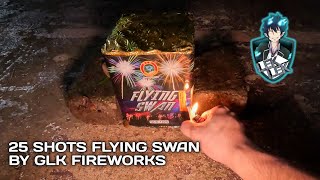 25 Shots Flying Swan by GLK Fireworks, Batangas, Philippines, 12 October 2024