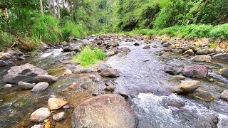 Calming Water Sounds And Melodic River Stream With Picturesque Views That Melt Stress Away Instantly