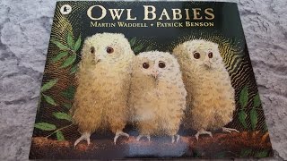 [영어동화] Owl Babies by Martin Waddell - 엄마를 기다리는 아기 올빼미 - Story Time with Amy♡