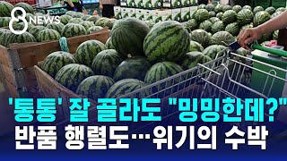 '통통' 잘 골라도 \