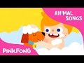 My Pet, My Buddy | Animal Songs | Pinkfong Songs for Children