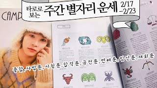 [타로/종합운]타로로 보는 주간 별자리 운세(사업운, 연애운,임신운, 횡재운, 취업운, 재물운, 투자운 등 포함)2/17-2/23