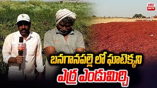 బనగానపల్లెలో ఘాటెక్కని  ఎర్ర ఎండుమిర్చి |Reduced price of red chillies in Banaganapalle | VBC ON TV