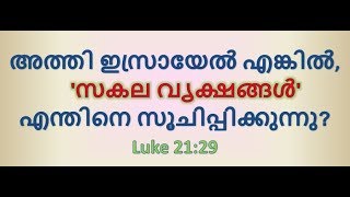 #60 അത്തി പോലുള്ള 'സകല വൃക്ഷങ്ങൾ' എന്താണ്?