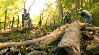 MSD Community Benefits - Beaver Dam Analog Project at Bernheim Forest and Arboretum