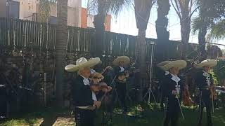 MARIACHI NOCHISTLAN- POLKA CORAZON DE TEXAS