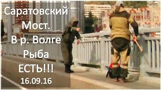 Саратовский мост Удачный момент, есть улов!!! 16.09.2016